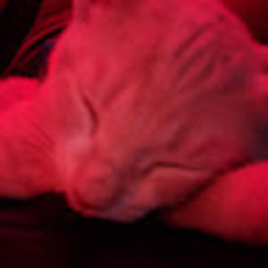 Meet your Posher, Kura